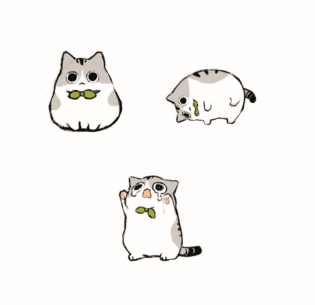 Hoya the Cat Enamel Pins
