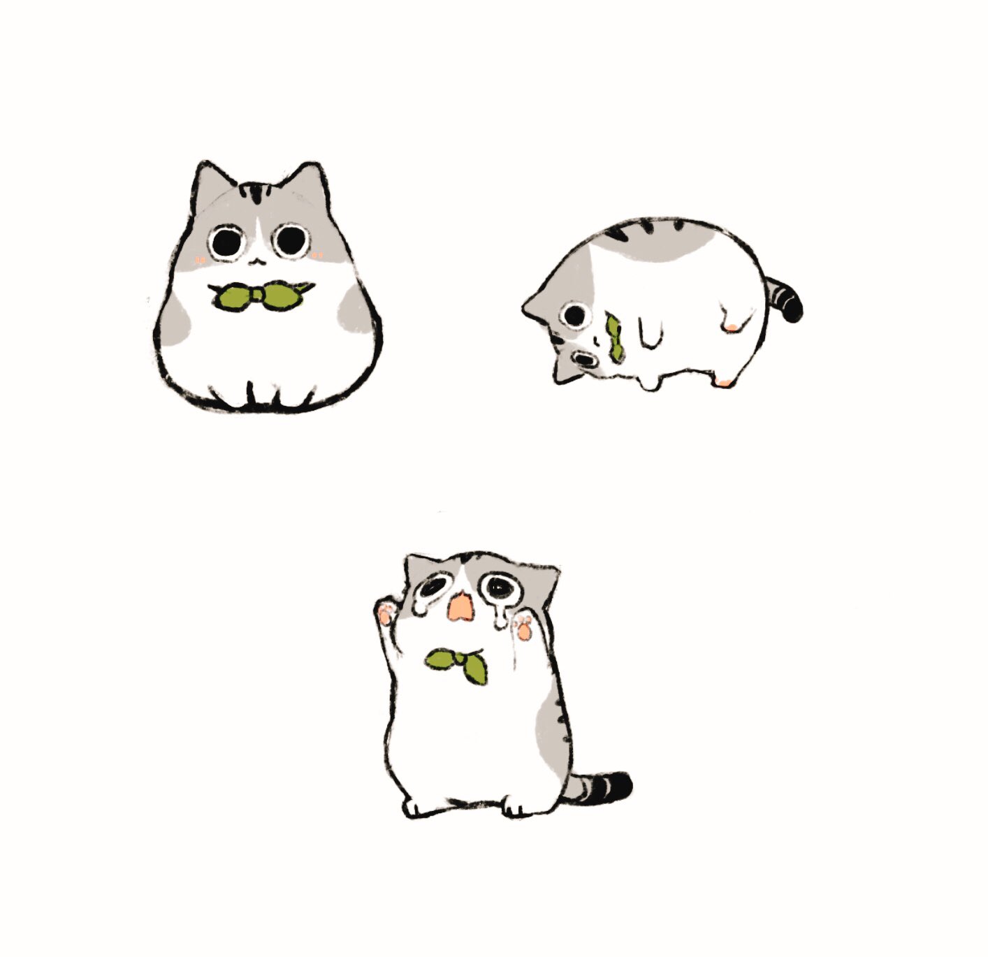 Hoya the Cat Enamel Pins
